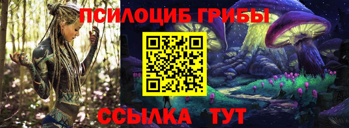 Тара  Псилоцибиновые грибы мицелий  Вход с VPN 