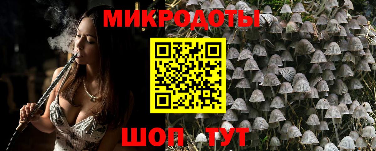 Псилоцибиновые грибы Magic Shrooms Тара